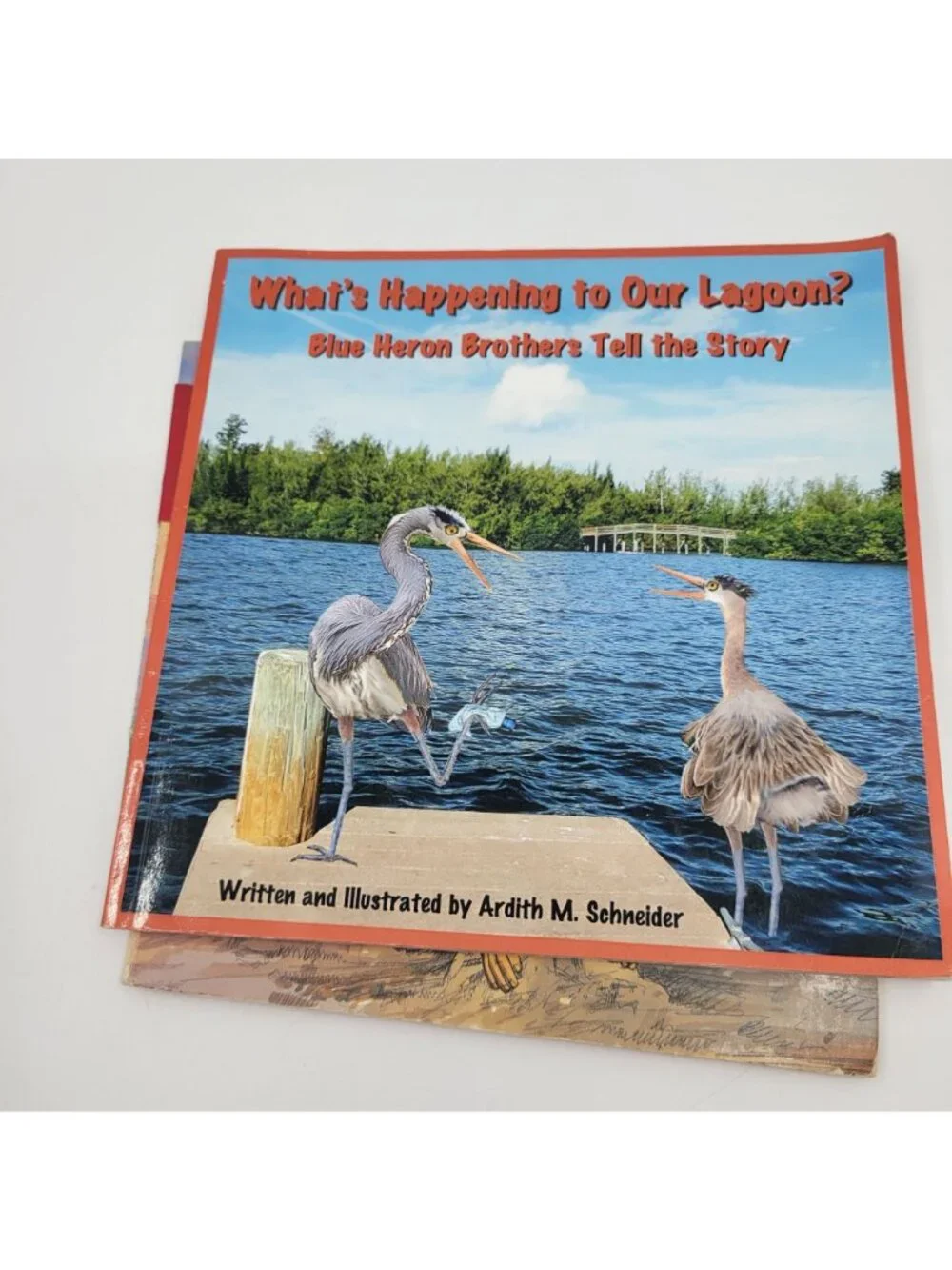 Children's Non-Fiction Book Lot - Nature, Spiders, Snakes - BK217